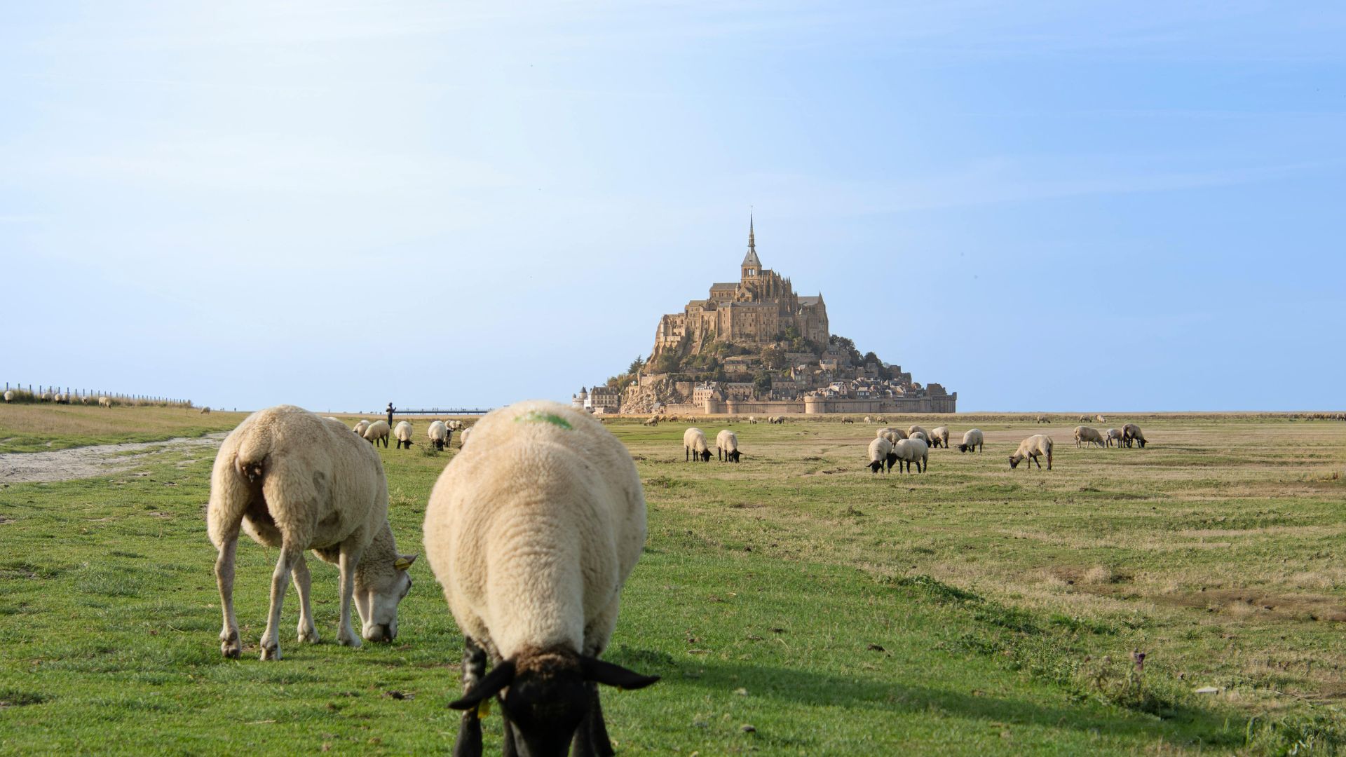 view of mont st michel